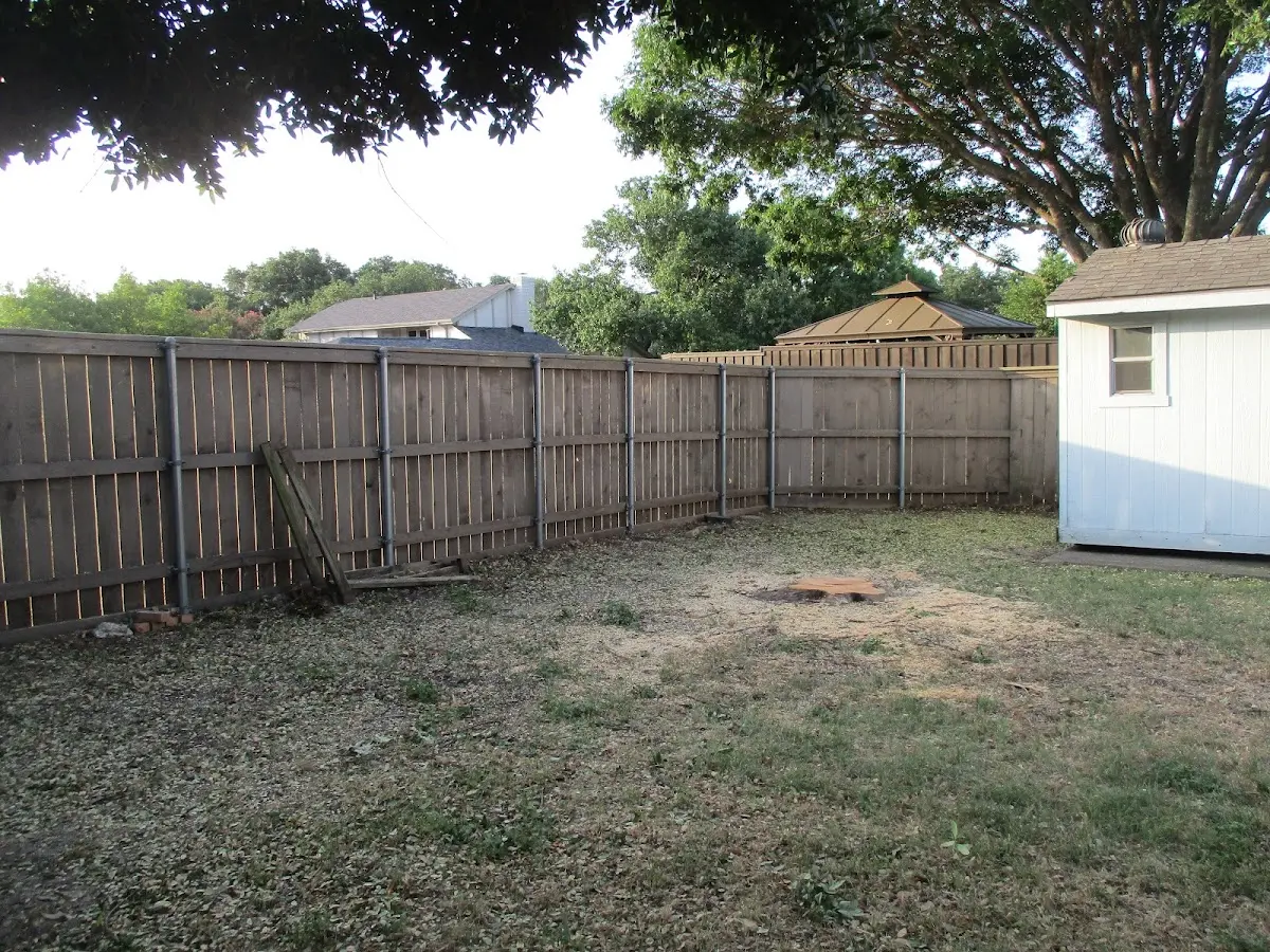 Cleared yard after professional tree removal in New Auburn